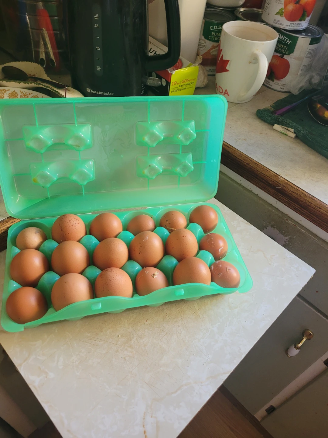 Fresh Brown Eggs from my chickens - photo 2