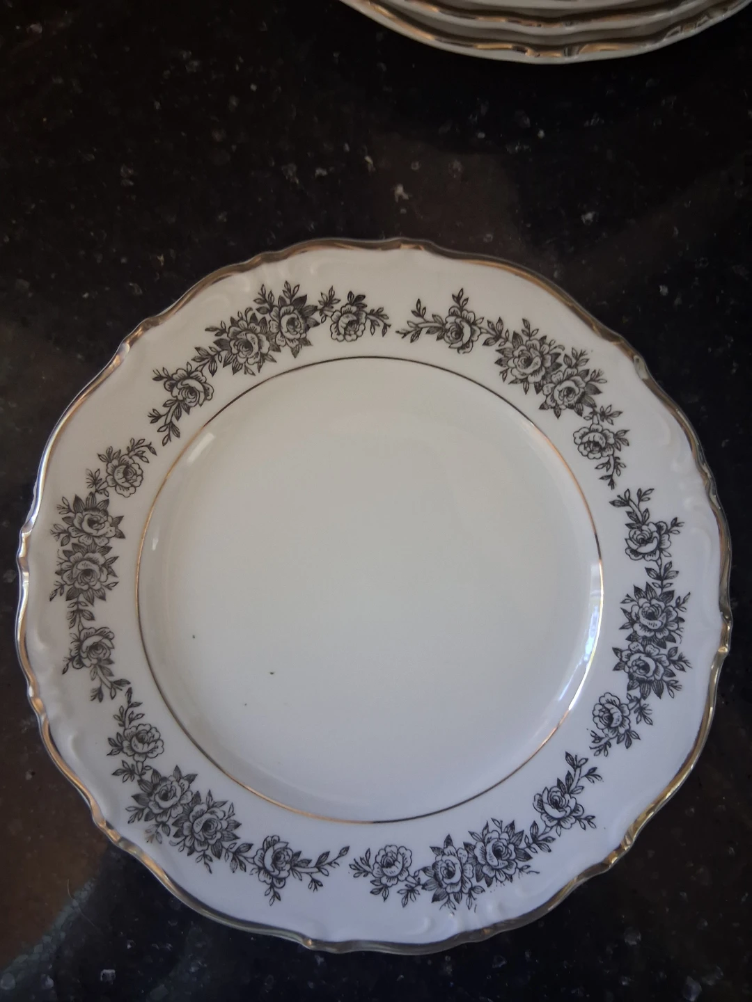 Vintage Floral Dinnerware Set with Silver Trim - photo 4