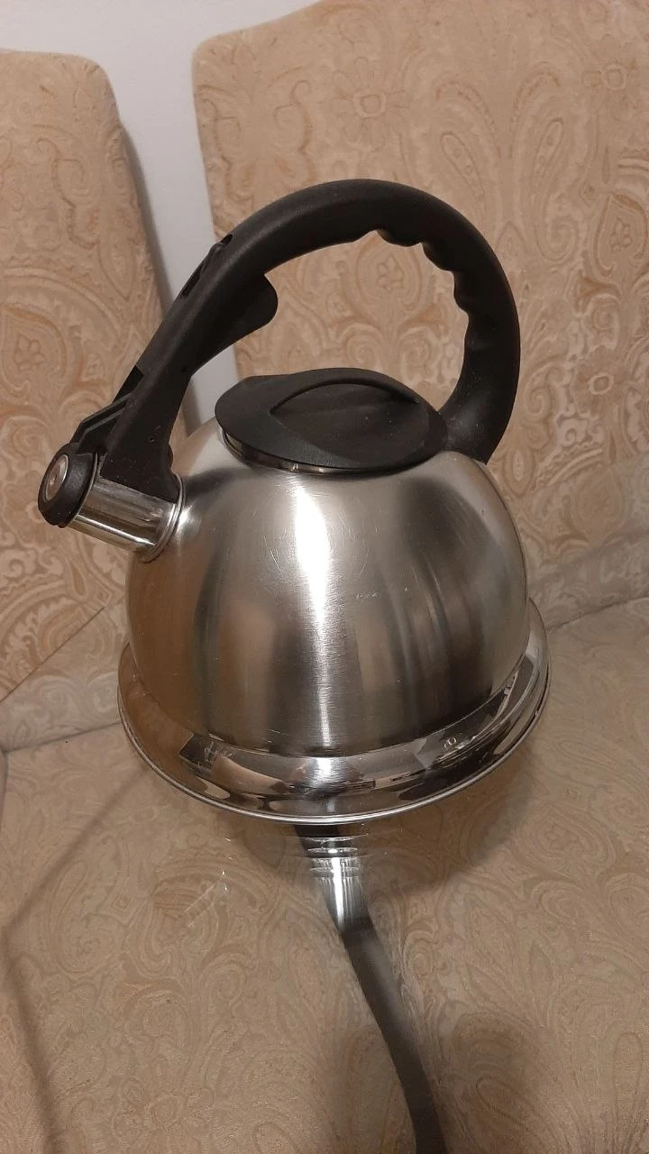 Primula Stainless Steel Stovetop Kettle - photo 4