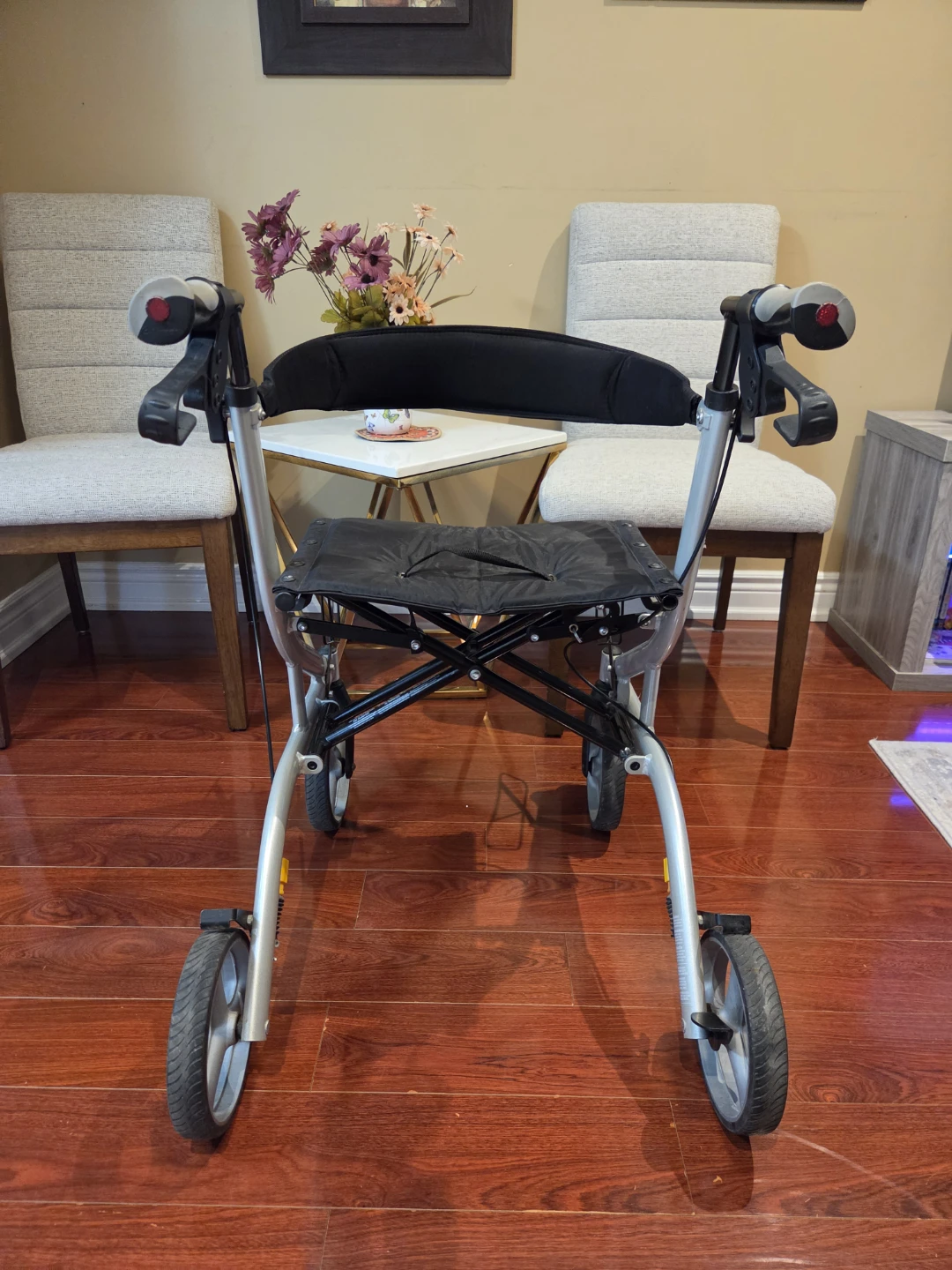 Airgo Excursion Walker - photo 2