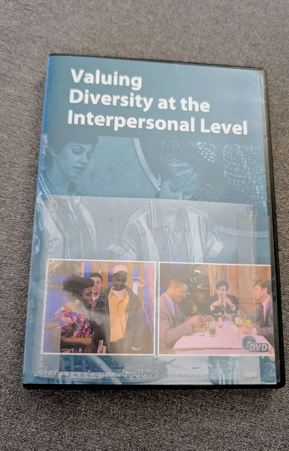 Valuing Diversity at the Interpersonal Level DVD