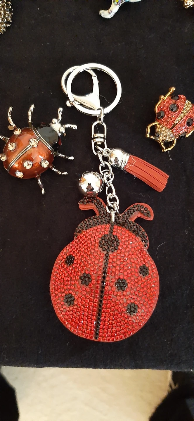 Cute Ladybug brooches. and keychain