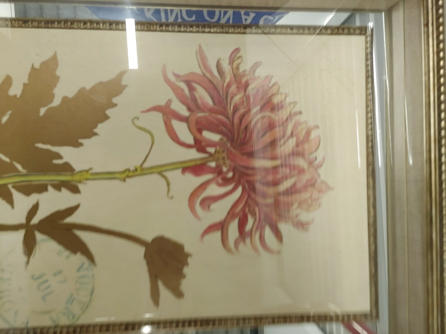 Framed Chrysanthemum Floral Print