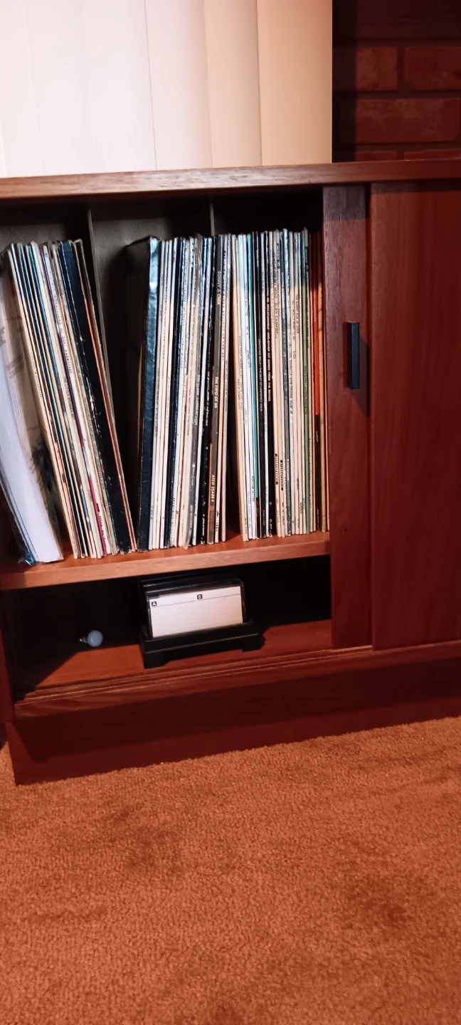 Wooden Record Storage Cabinet - photo 3