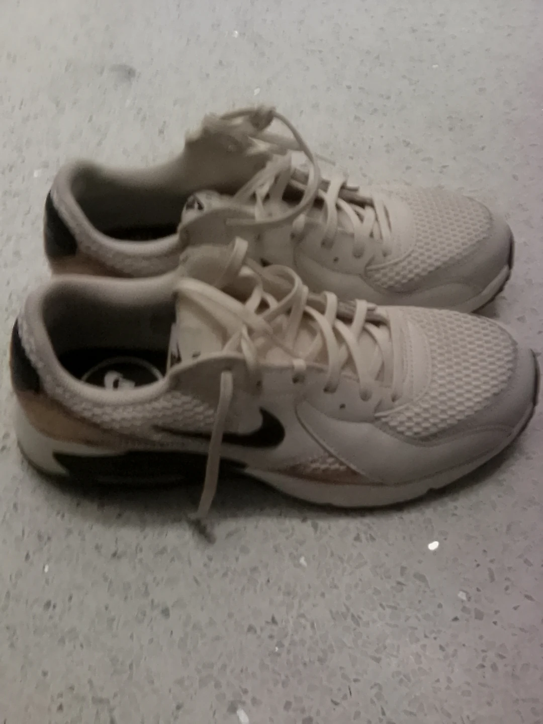 Women's Air Max