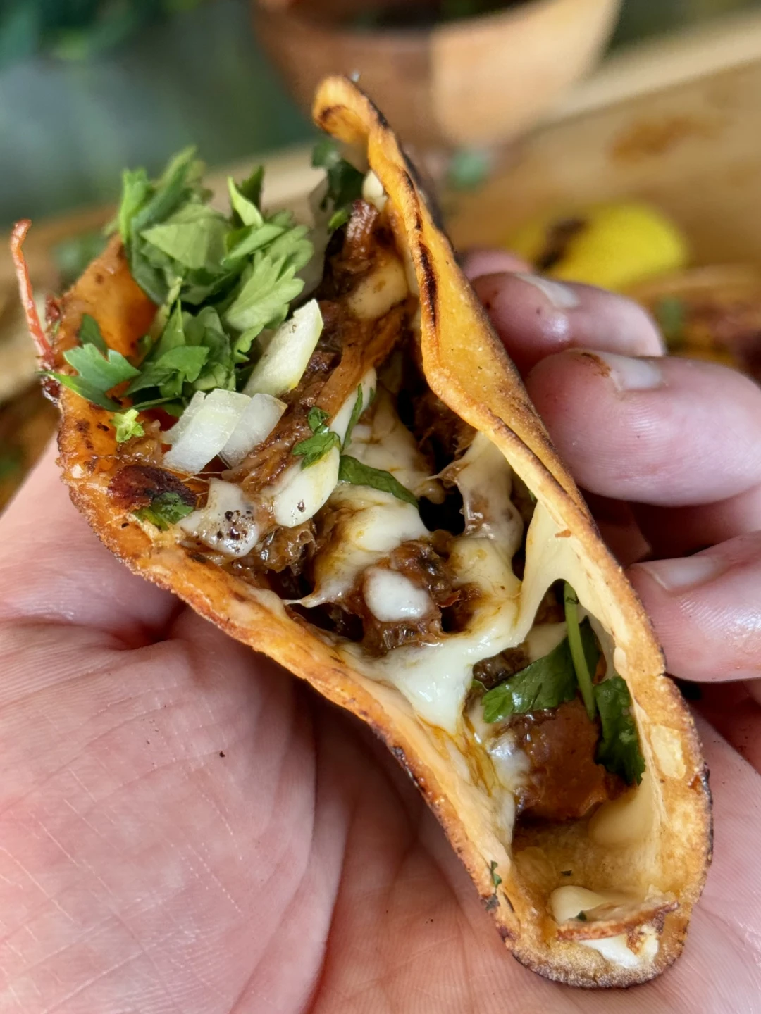 Birria tacos