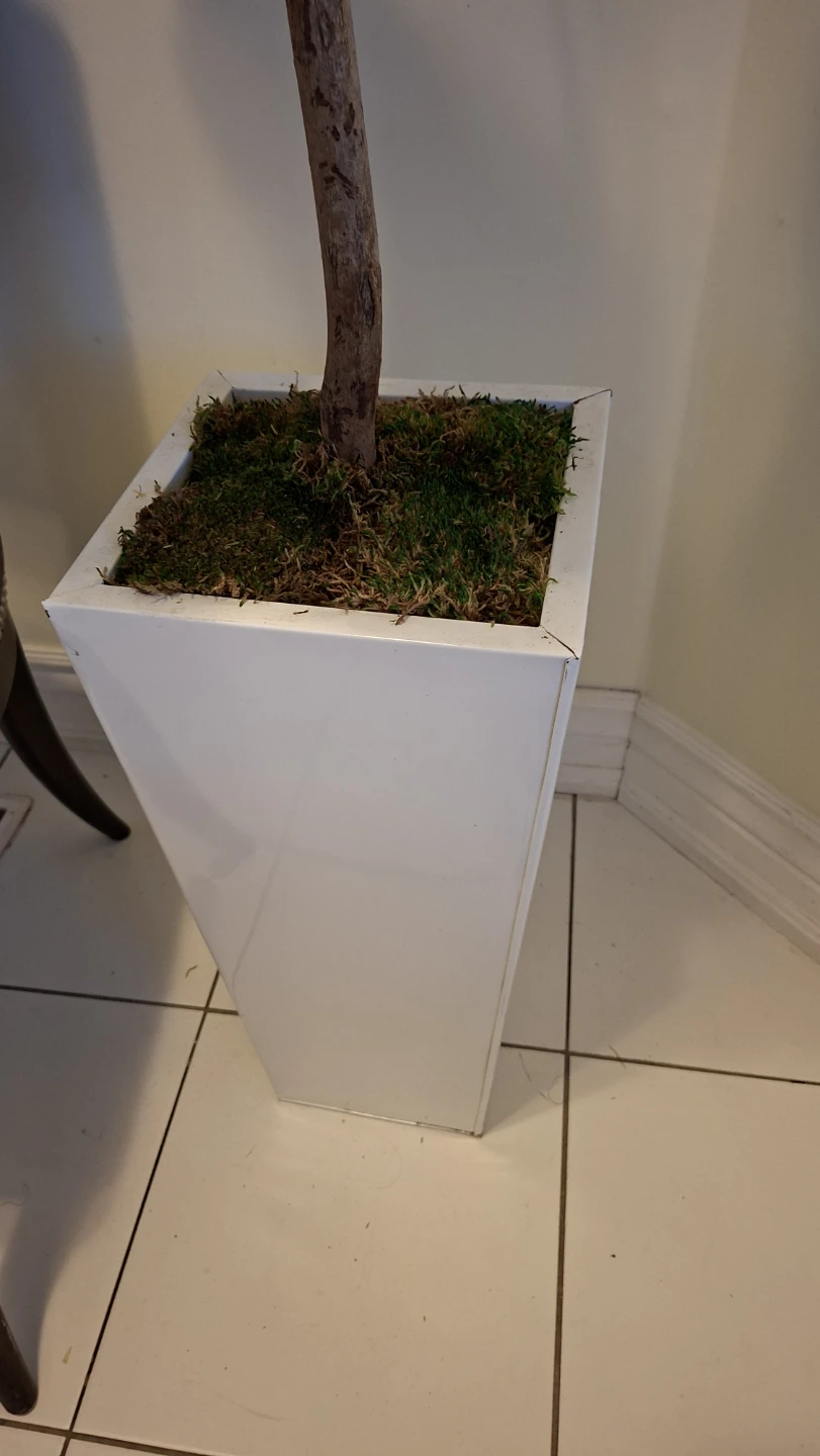 Artificial Fiddle Leaf Fig Plant in White Planter - photo 2