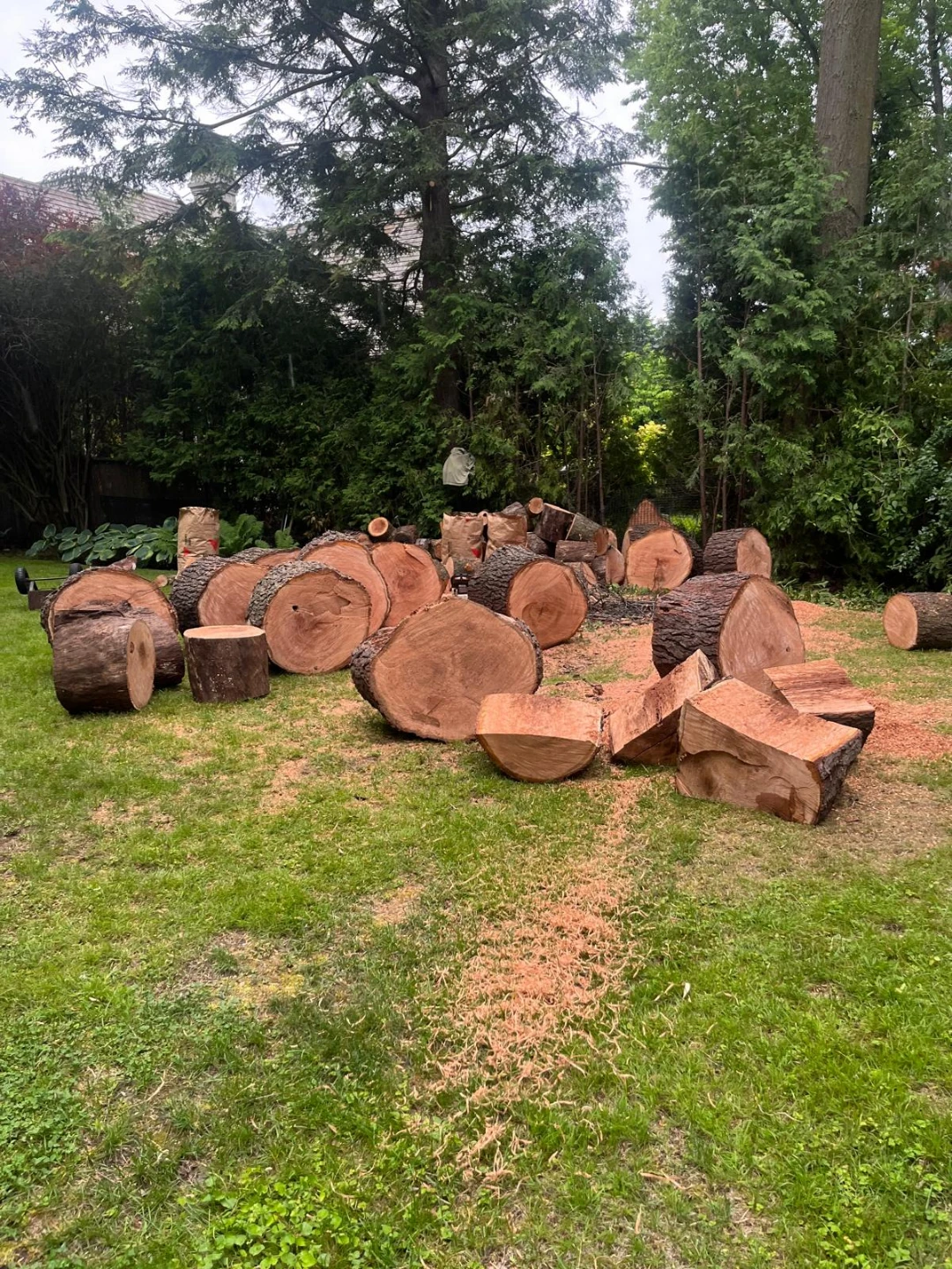 Black Cherry Firewood dry - photo 4