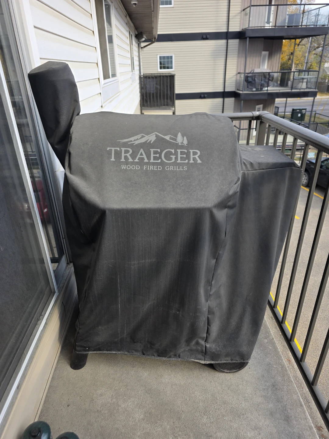 Traeger Pro 575 wood pallet grill and smoker?