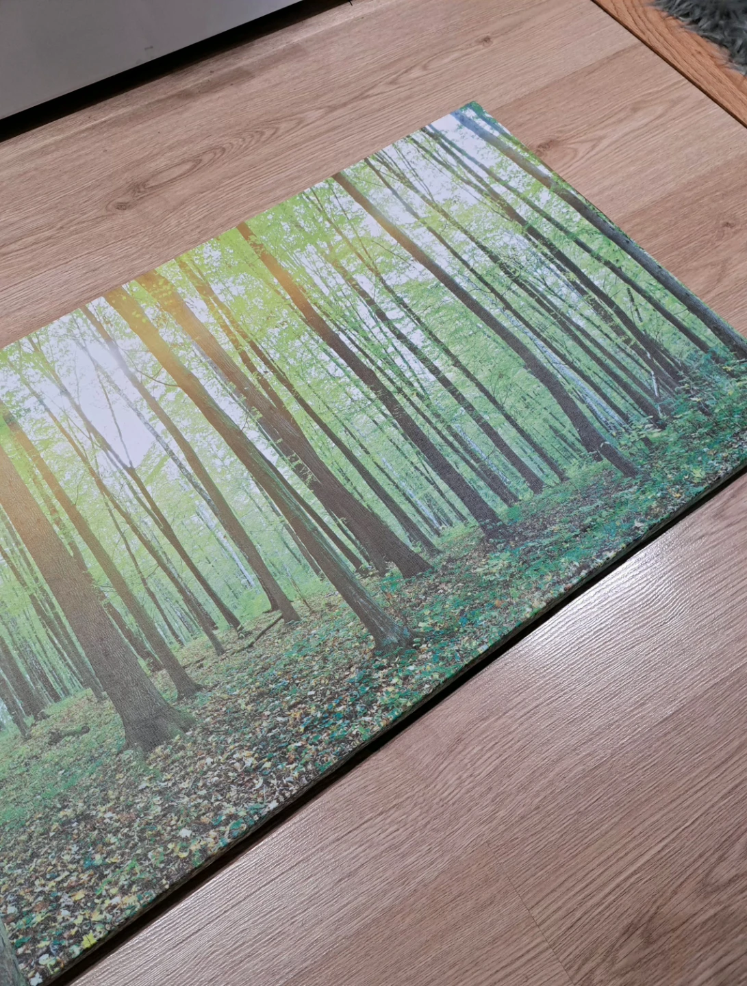 Large Forest Landscape Wall Art Canvas - photo 2