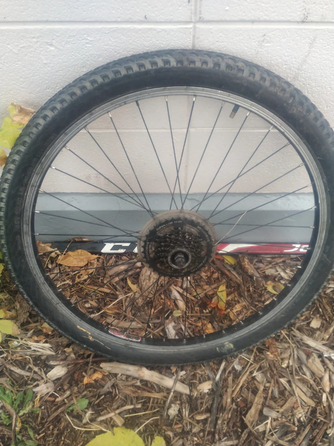 Mountain Bike Wheel with 13-34T Megadrive Cassette