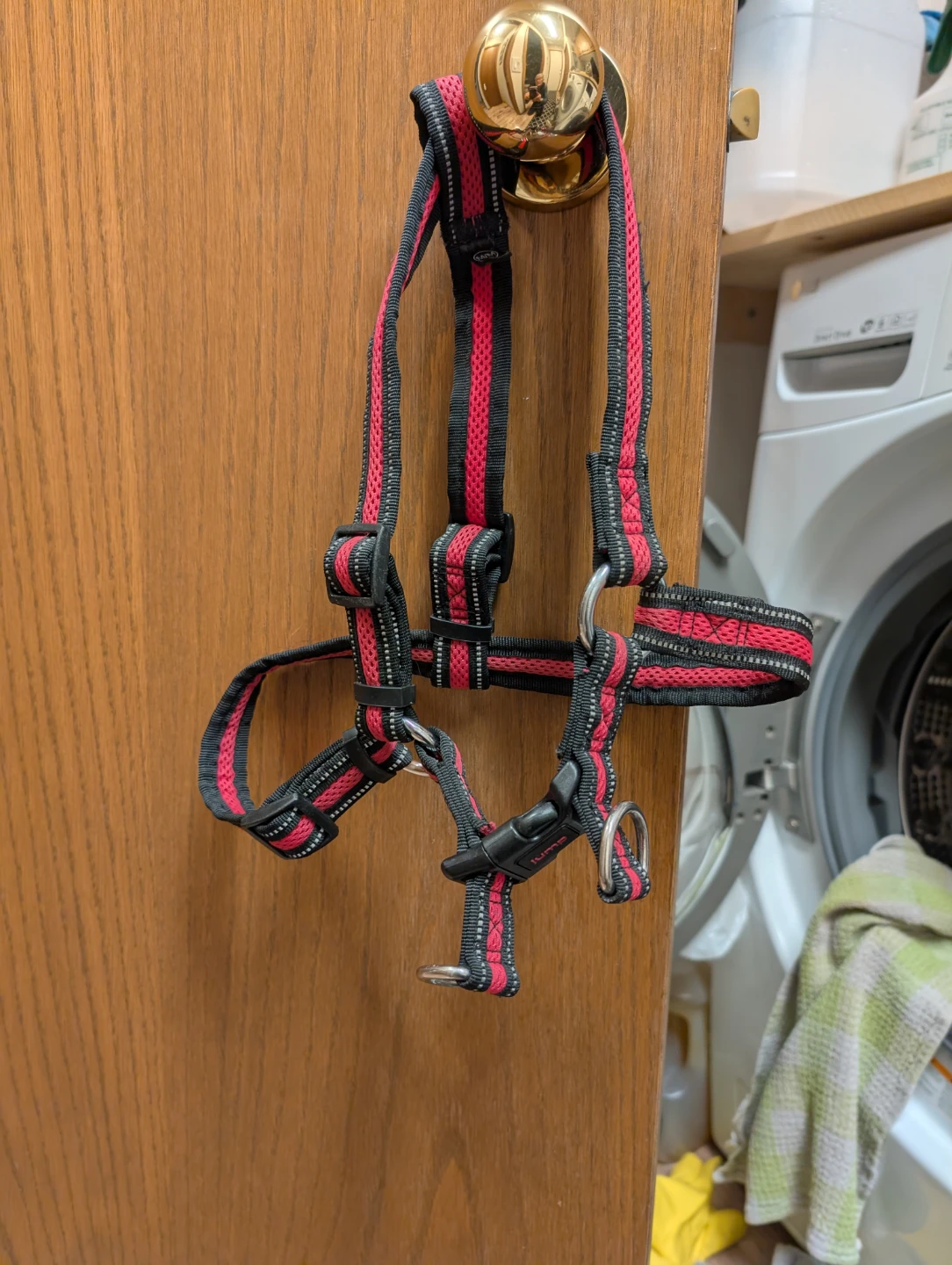 Jump Dog Harness