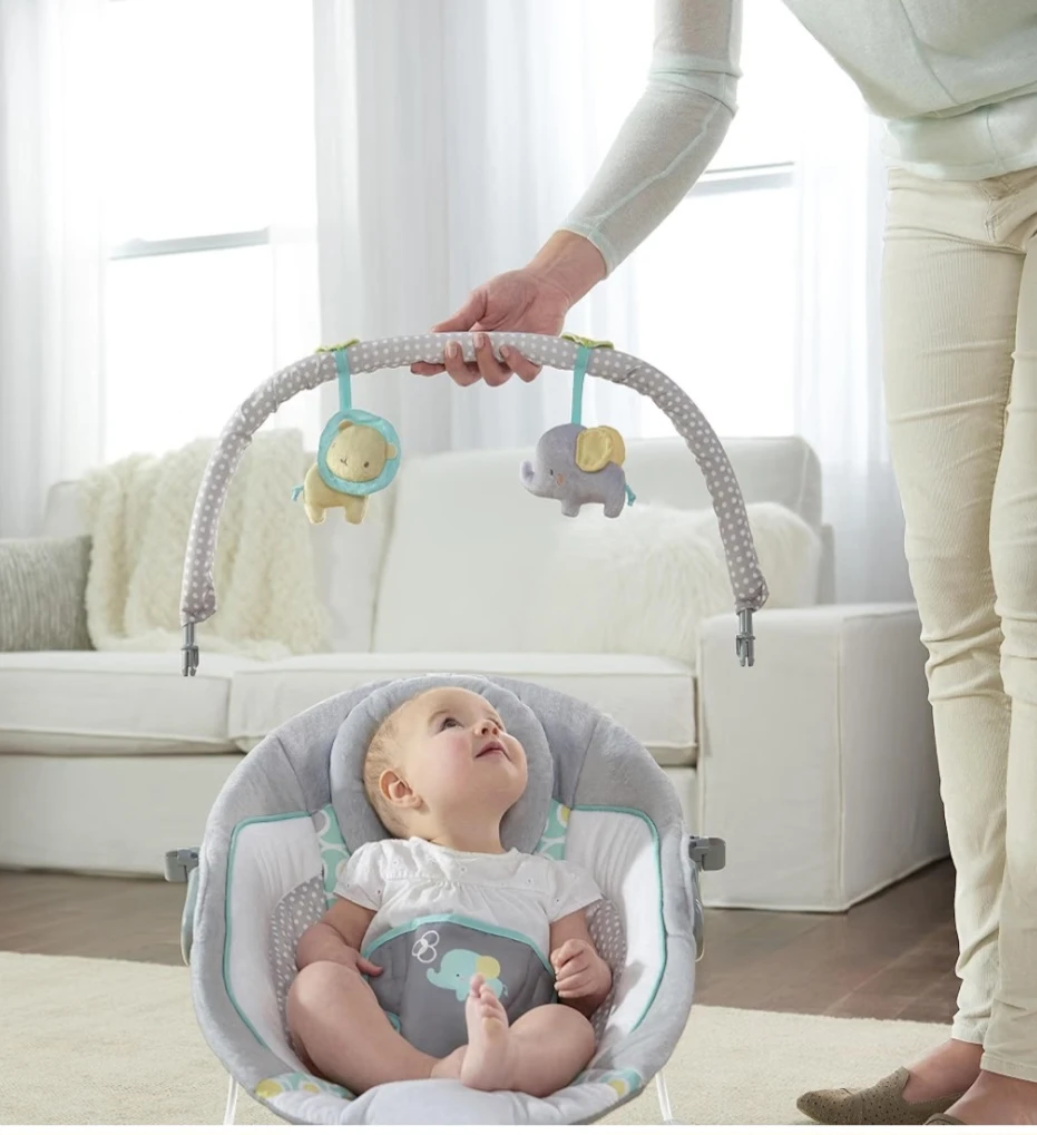 Ingenuity Baby Bouncer - photo 5