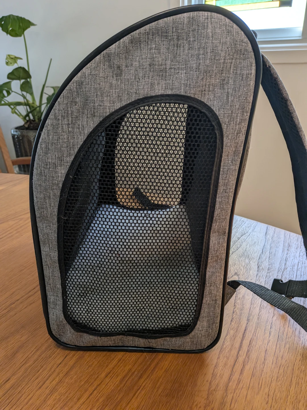 Pet Carrier Backpack - photo 2