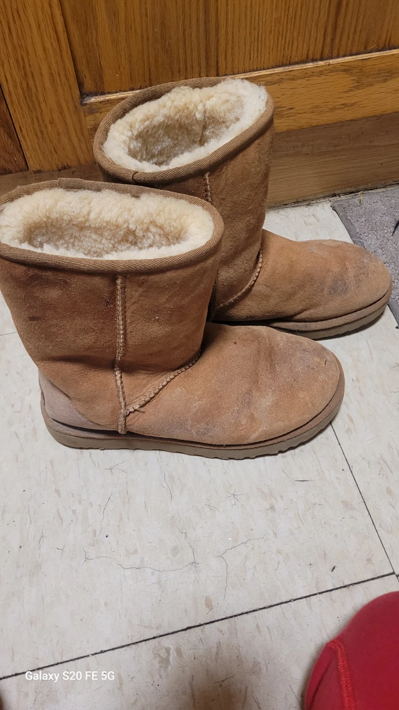 UGG Classic Boots Chestnut