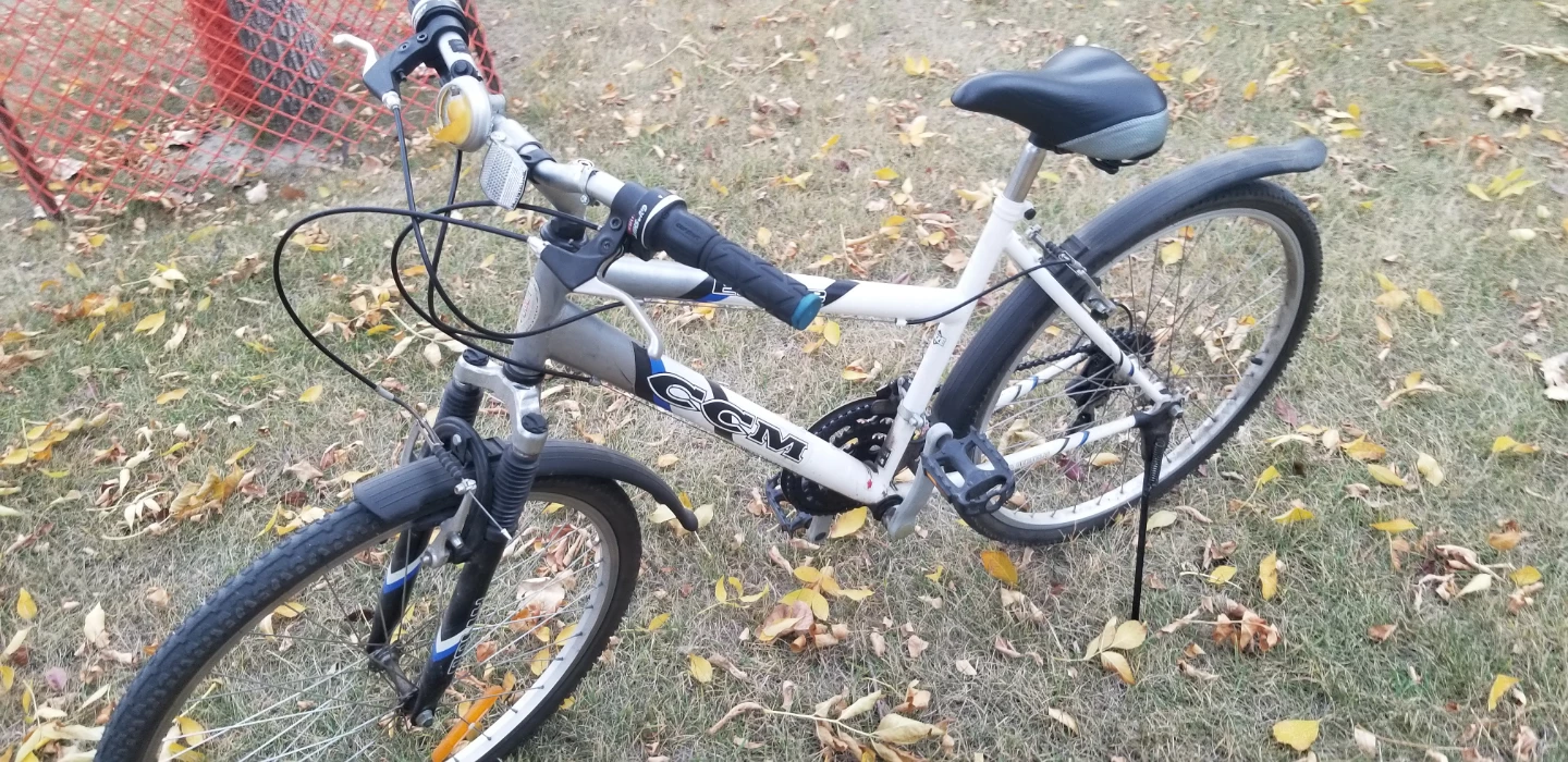 CCM Ellipse Bicycle