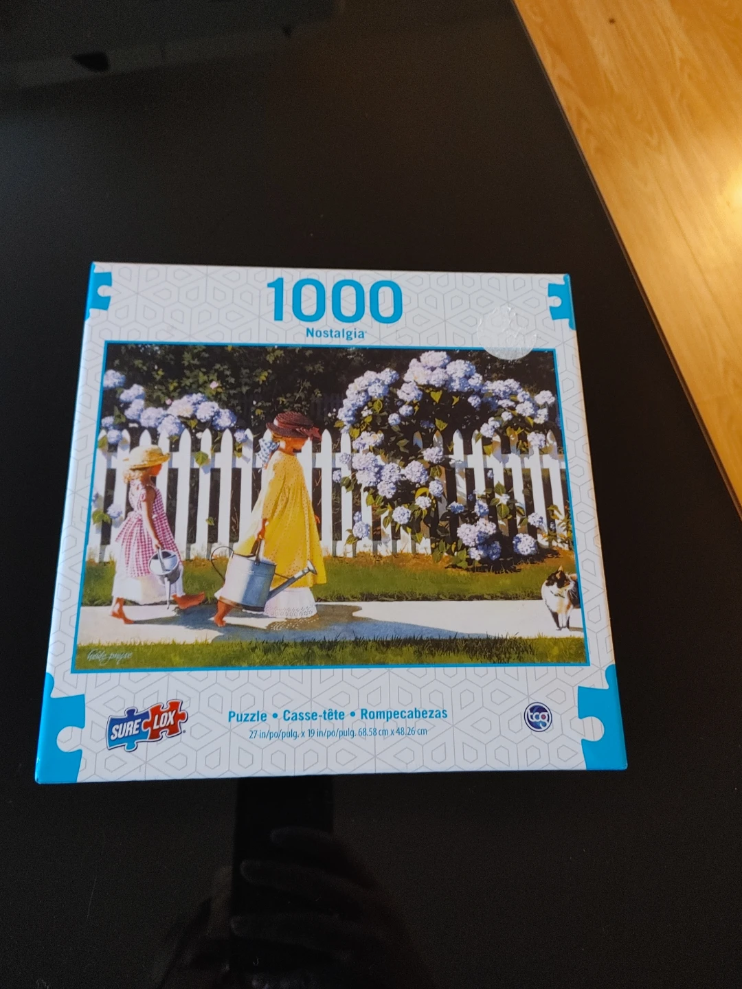 1000 Piece Nostalgia Puzzle