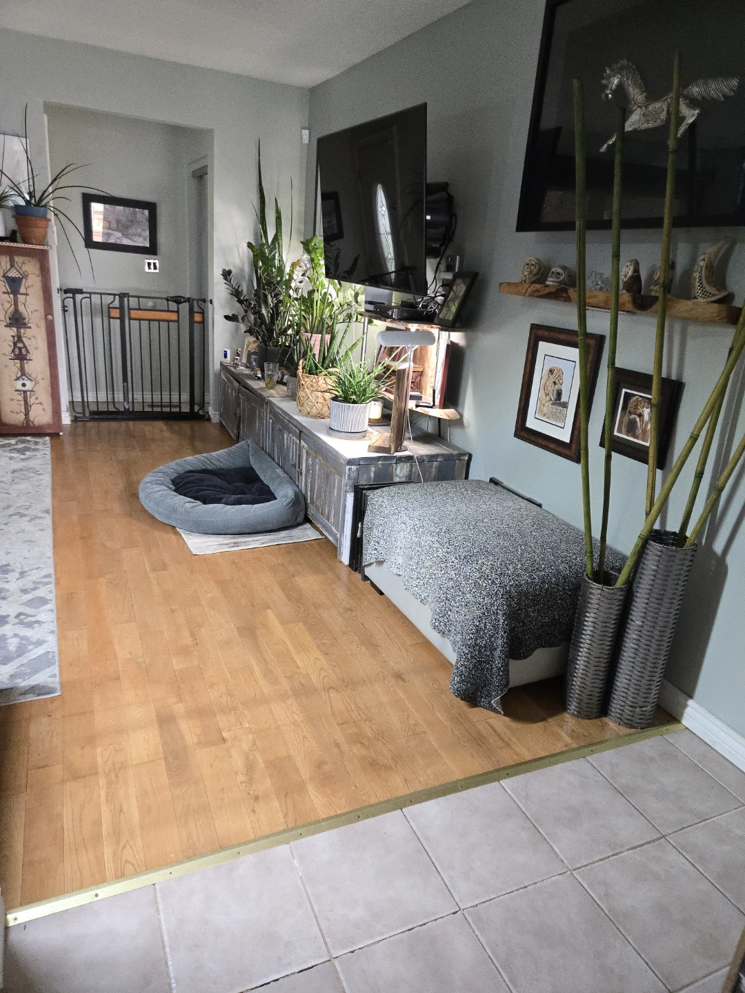 Roommate Wanted Private Home