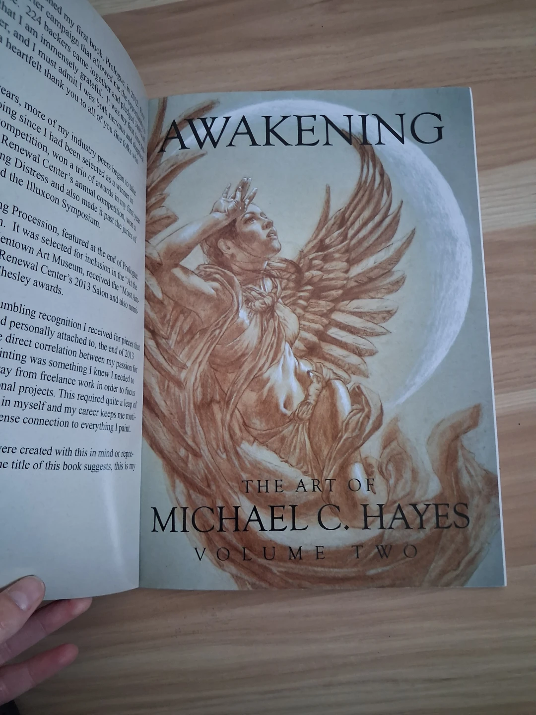 Awakening: The Art of Michael C. Hayes Volume Two - photo 2