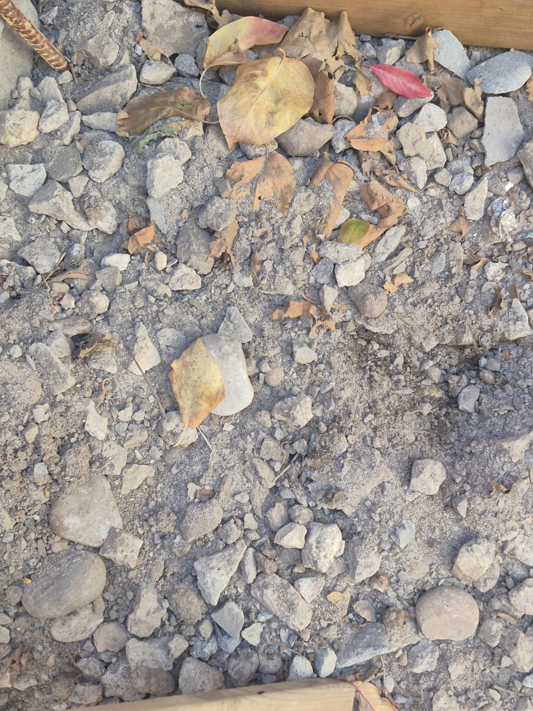 FILL WITH GRAVEL AND DIRT - photo 3