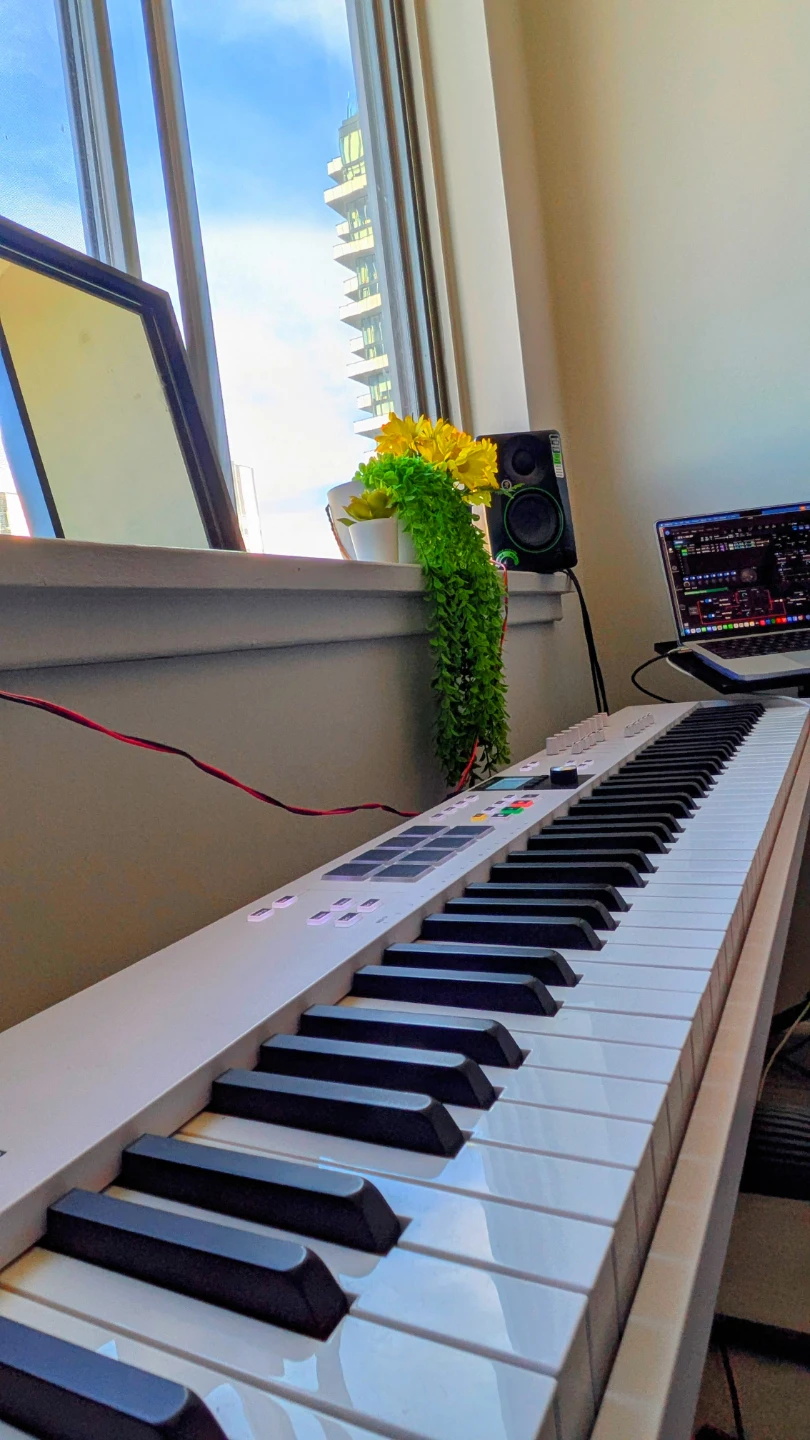 Arturia KeyLab Essential 88 mk3 MIDI Controller - photo 3