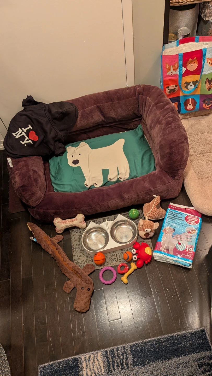 Dog Bed and Puppy Supplies Bundle