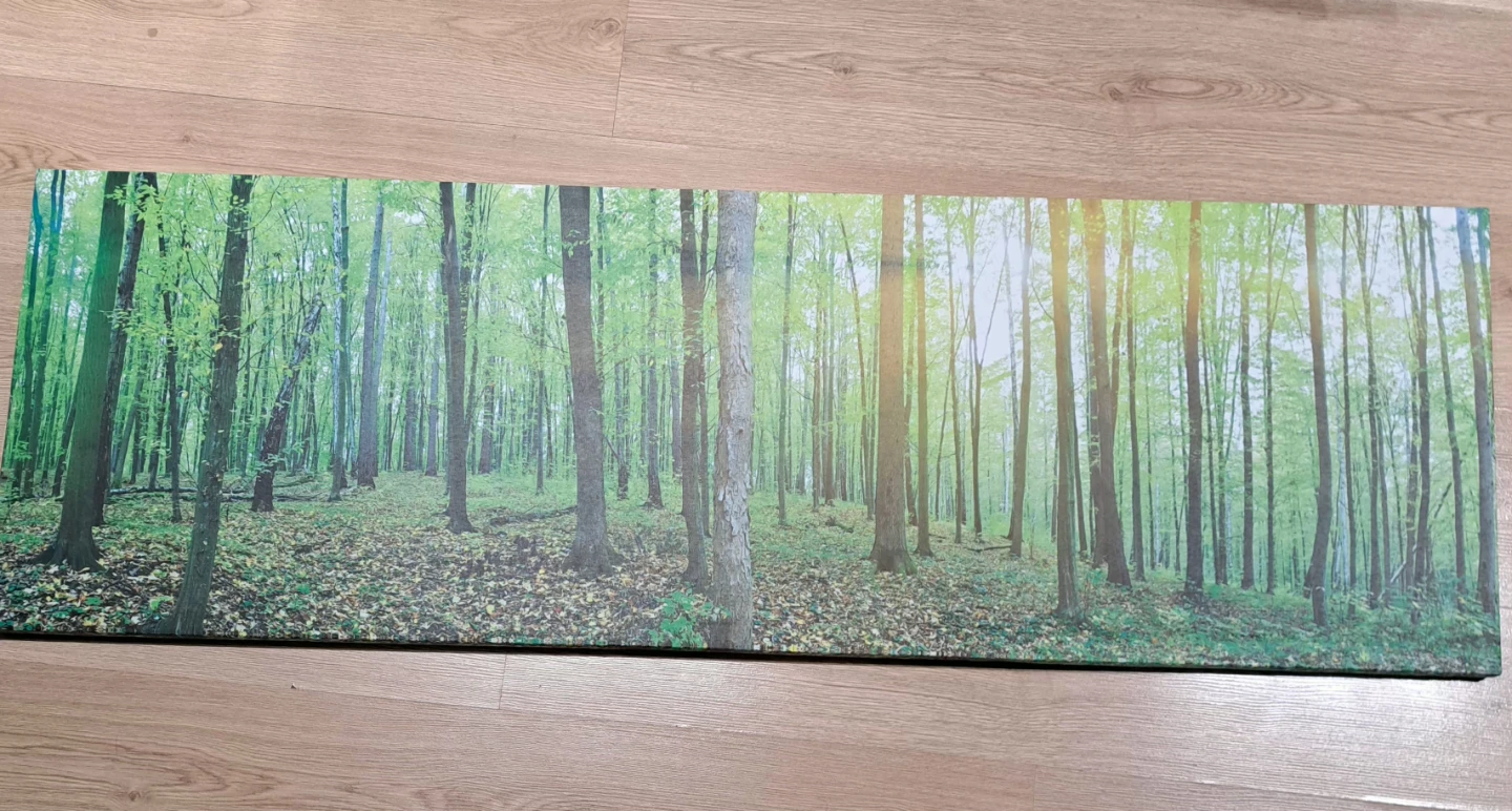 Large Forest Landscape Wall Art Canvas