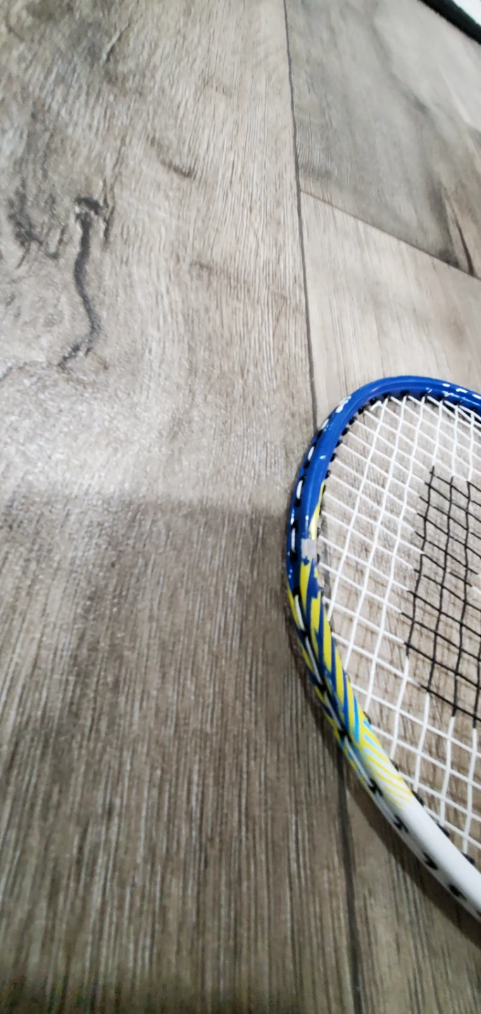 Prince Renegade Badminton Racket