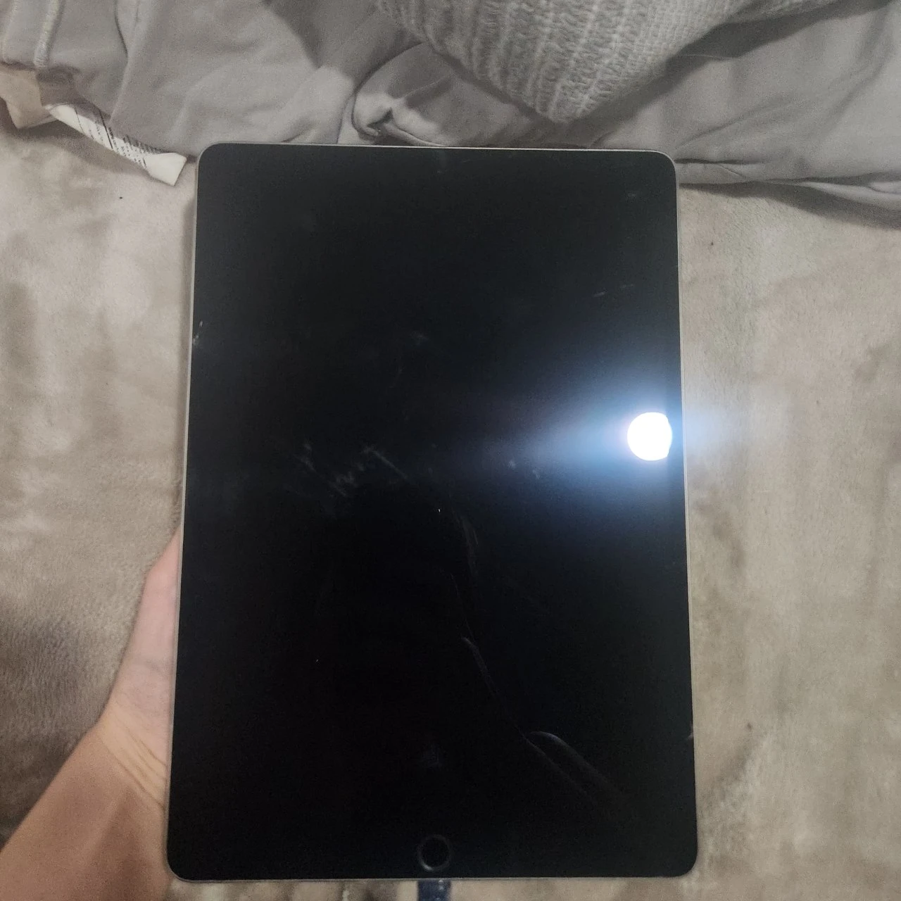 Apple iPad Pro 10.5-inch 256GB - photo 5