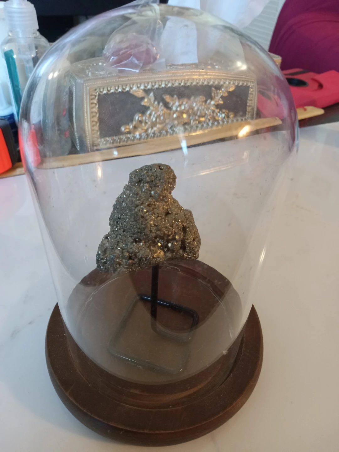 Pyrite Mineral Specimen in Glass Cloche