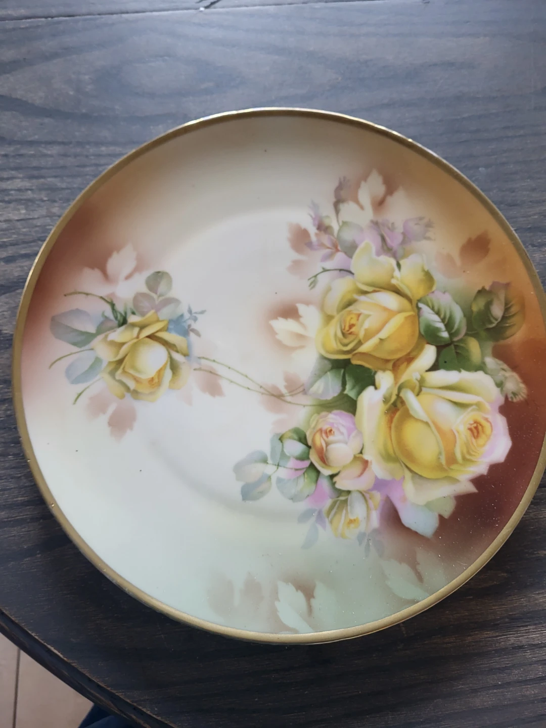 Vintage ES Prussia Porcelain Plate with Rose Motif