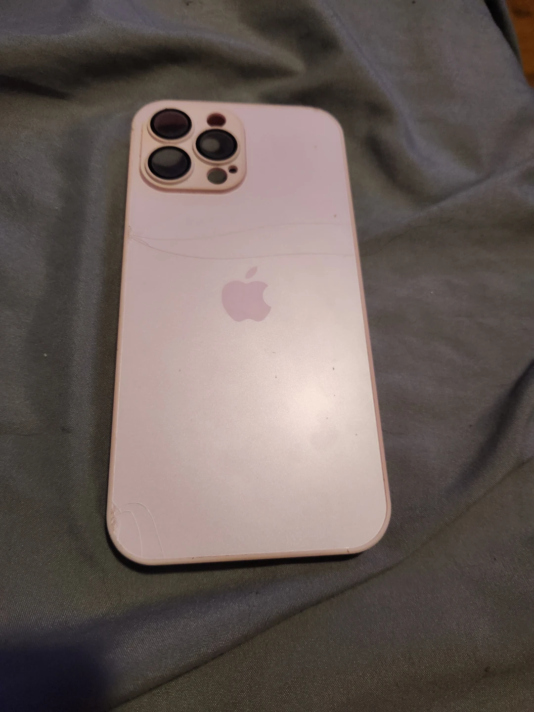 Pink iPhone 13 Pro Max Case - photo 2