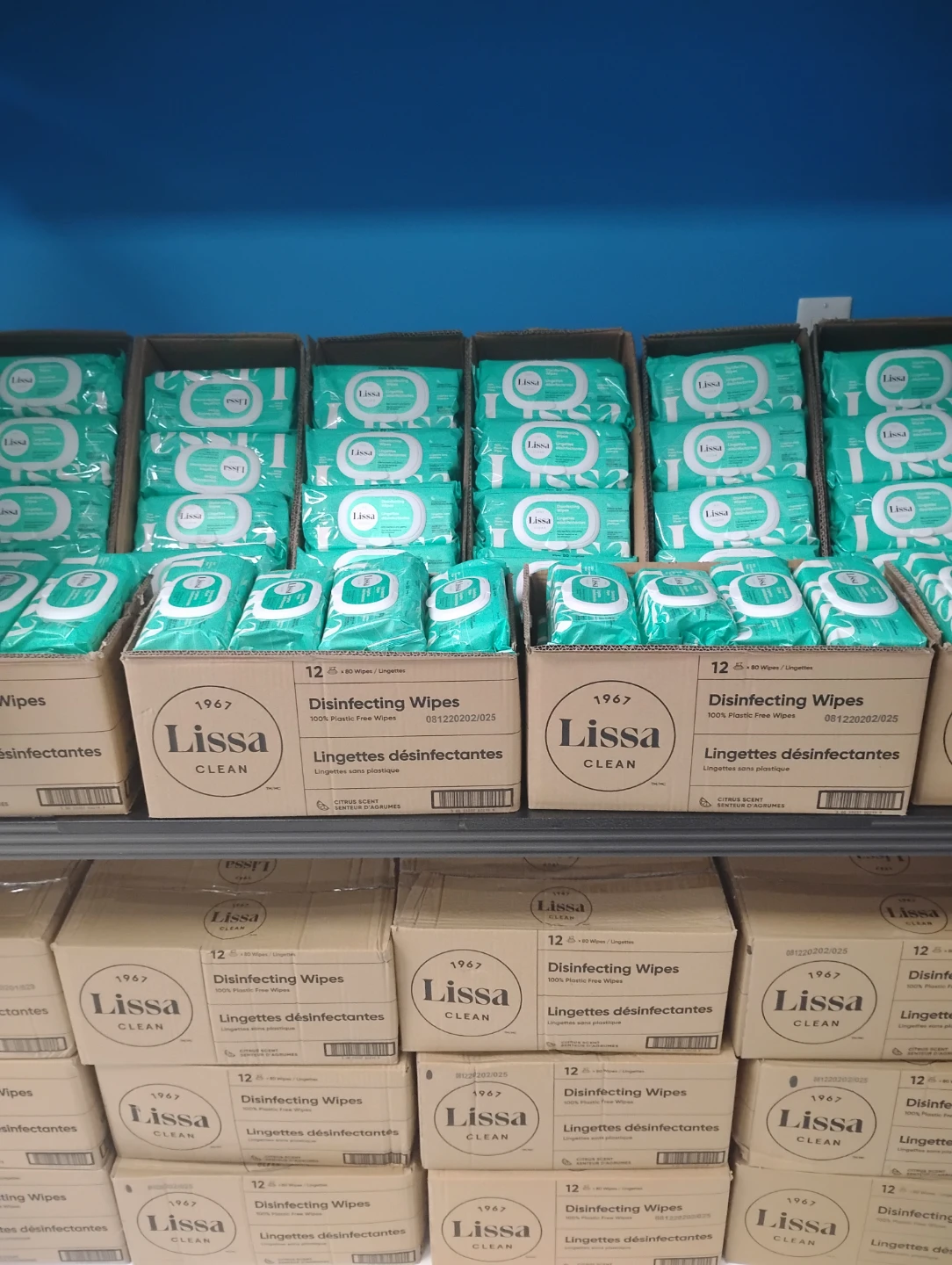 Lissa Clean 1967 Disinfecting Wipes - 12 Pack