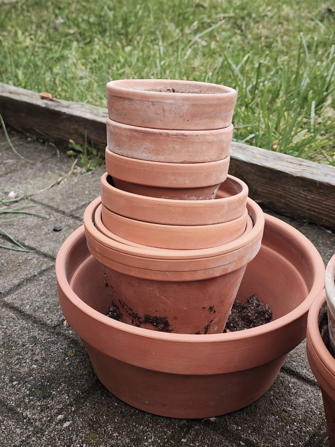 Assorted Terracotta Clay Pots Set - Plant Pots - photo 3
