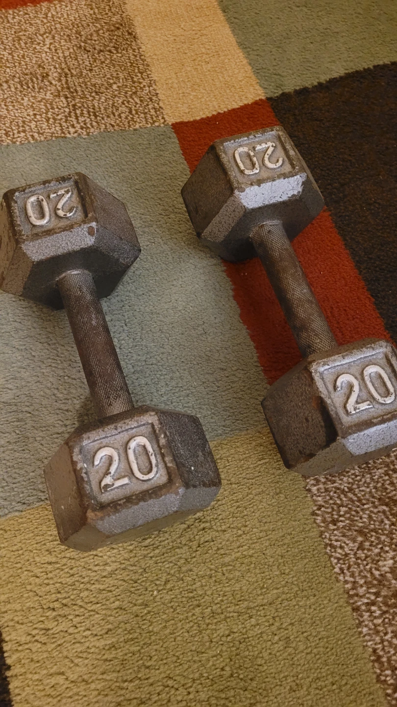 Pair of 20 lb Hex Dumbbells