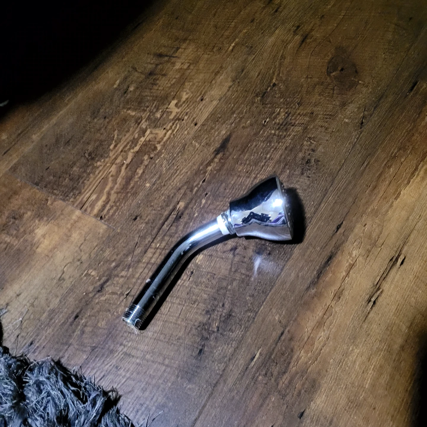 Chrome Shower Head with Arm