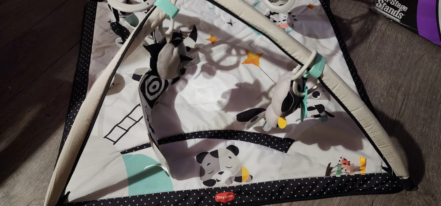 Tiny Love Baby Activity Gym - photo 2