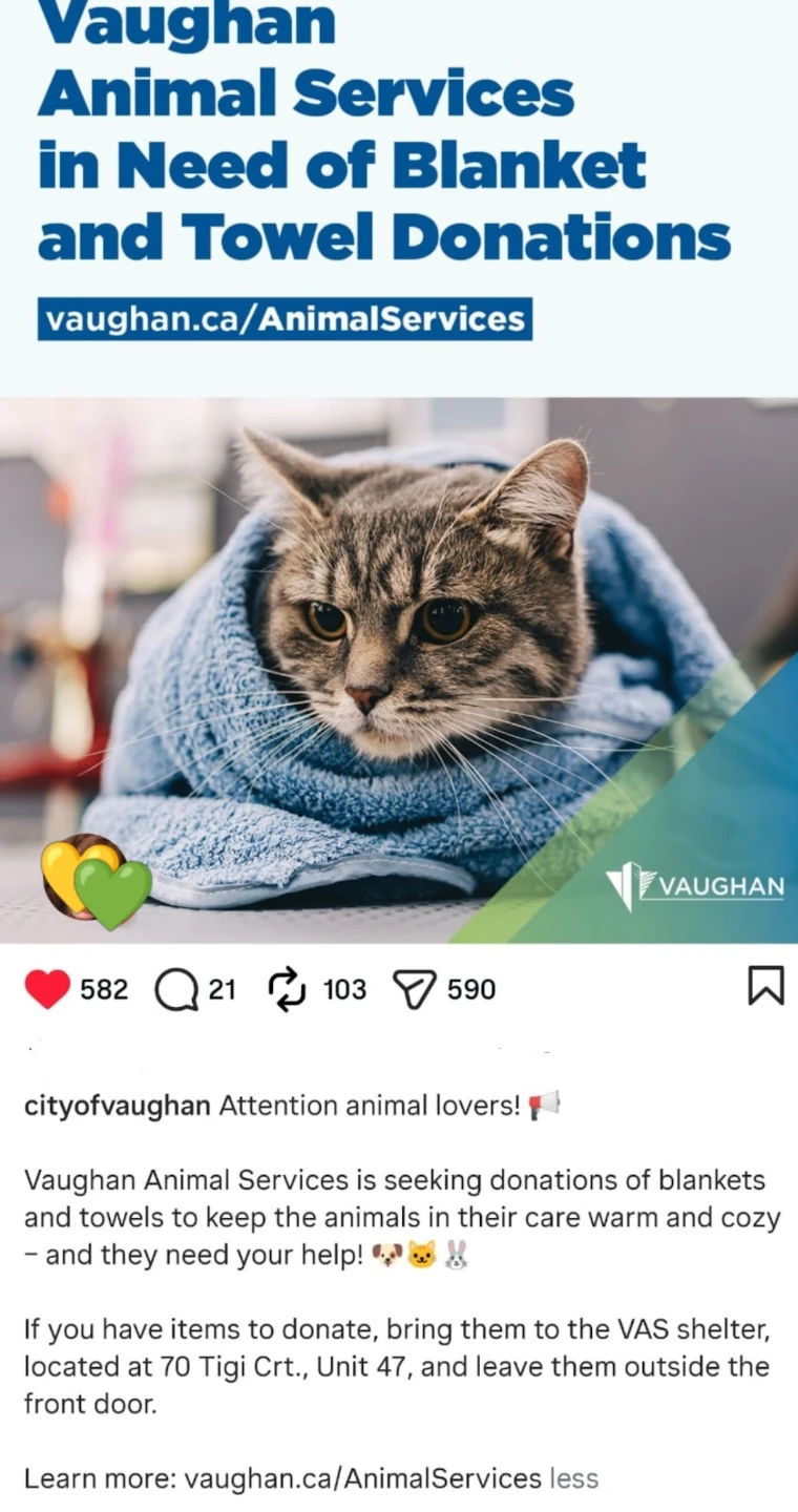 Vaughan Animals in need 💛.. Please read below