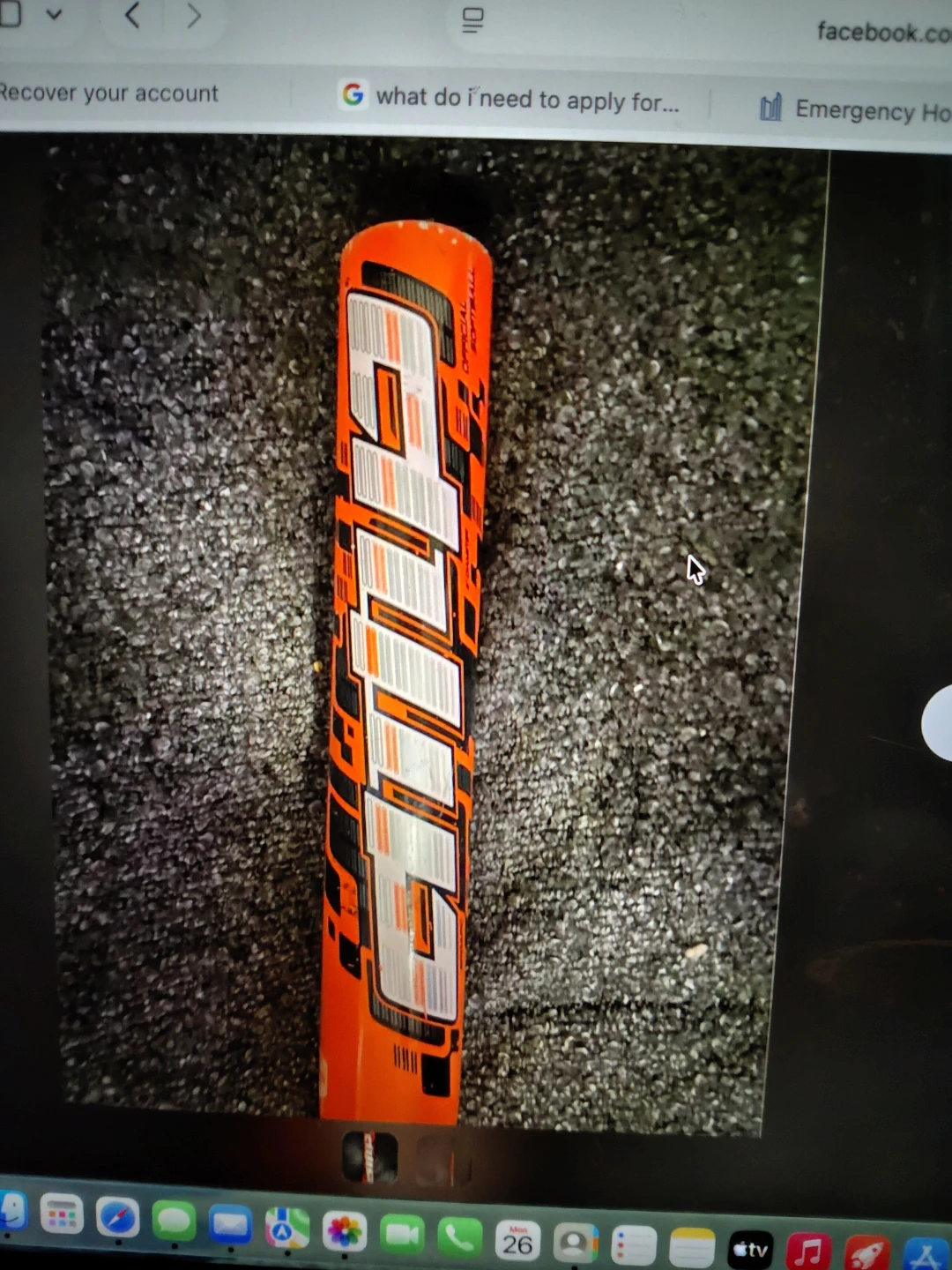 DeMarini The Goods Softball Bat