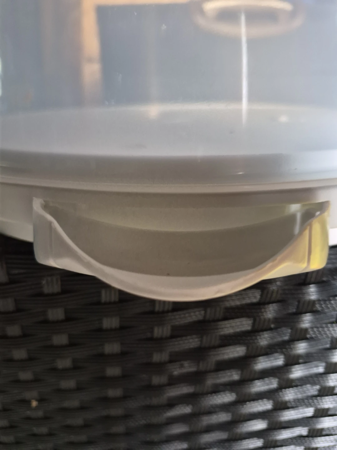 Cake Carrier - photo 2