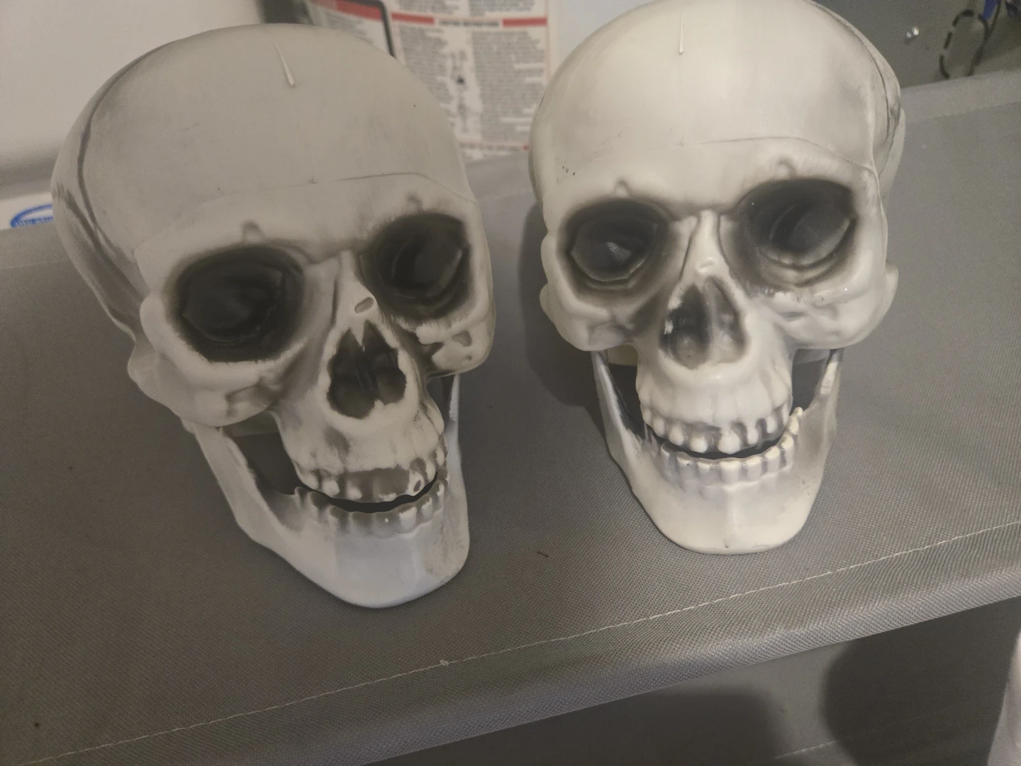 Set of Two Plastic Skull Decorations