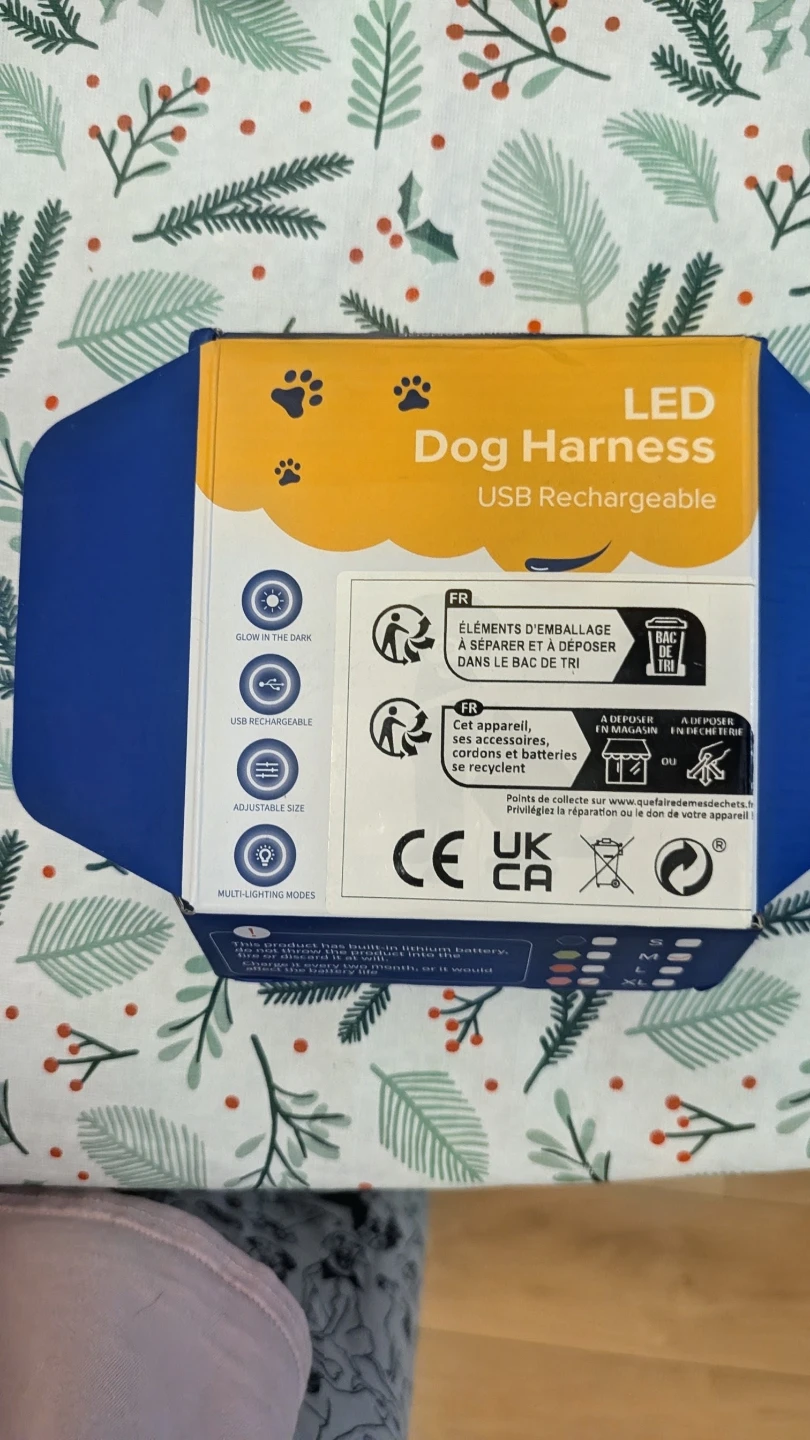 KONG LED Light-Up Dog Collar