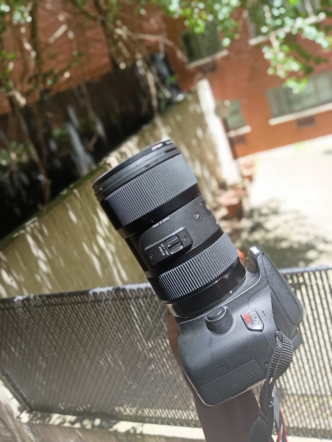 Canon EOS Rebel T7 DSLR Camera - photo 2