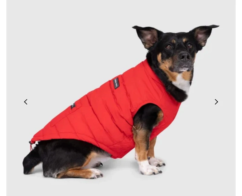 Canada Pooch dog winter jackets