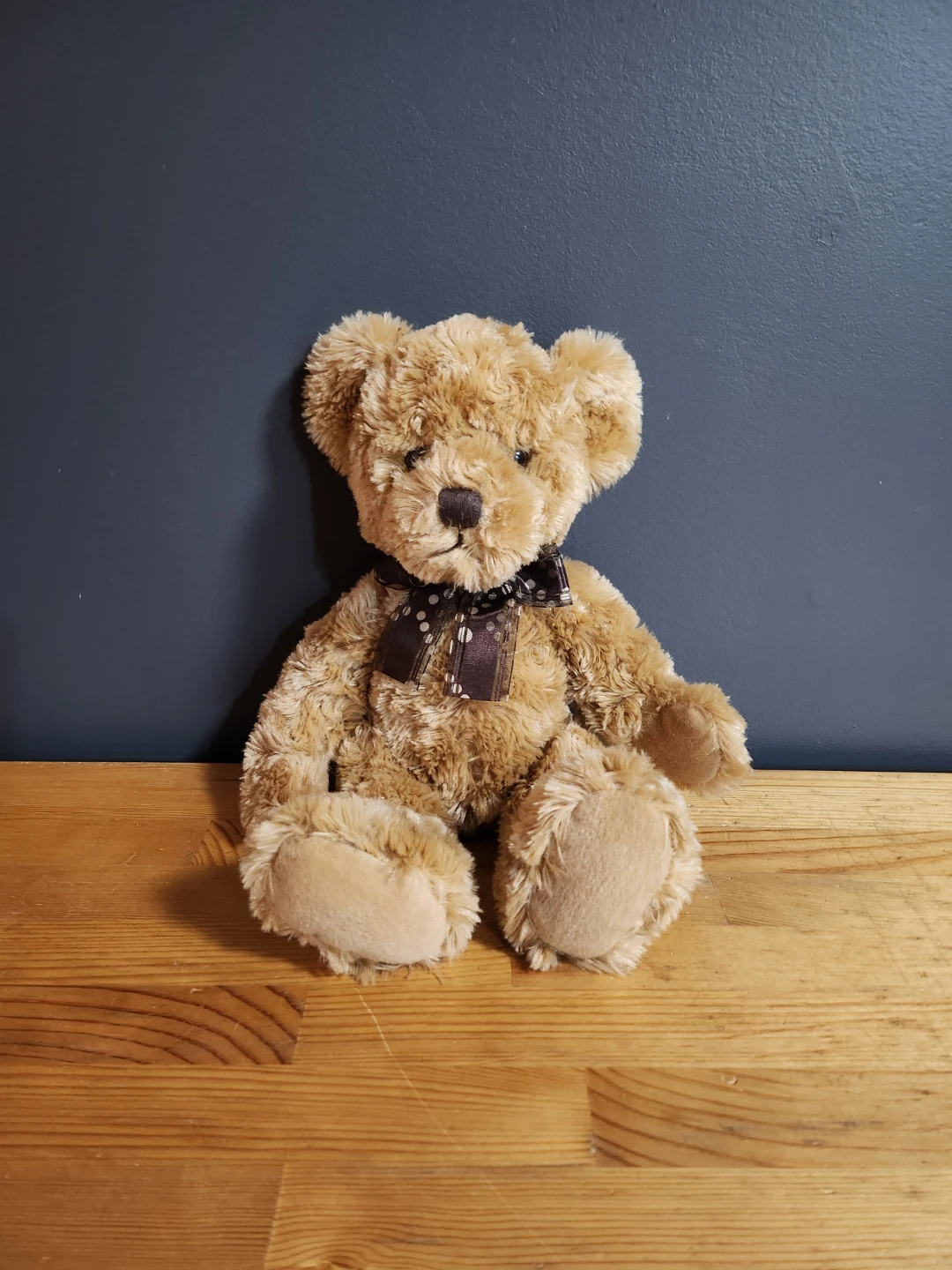 Brown Teddy Bear with Polka Dot Bow