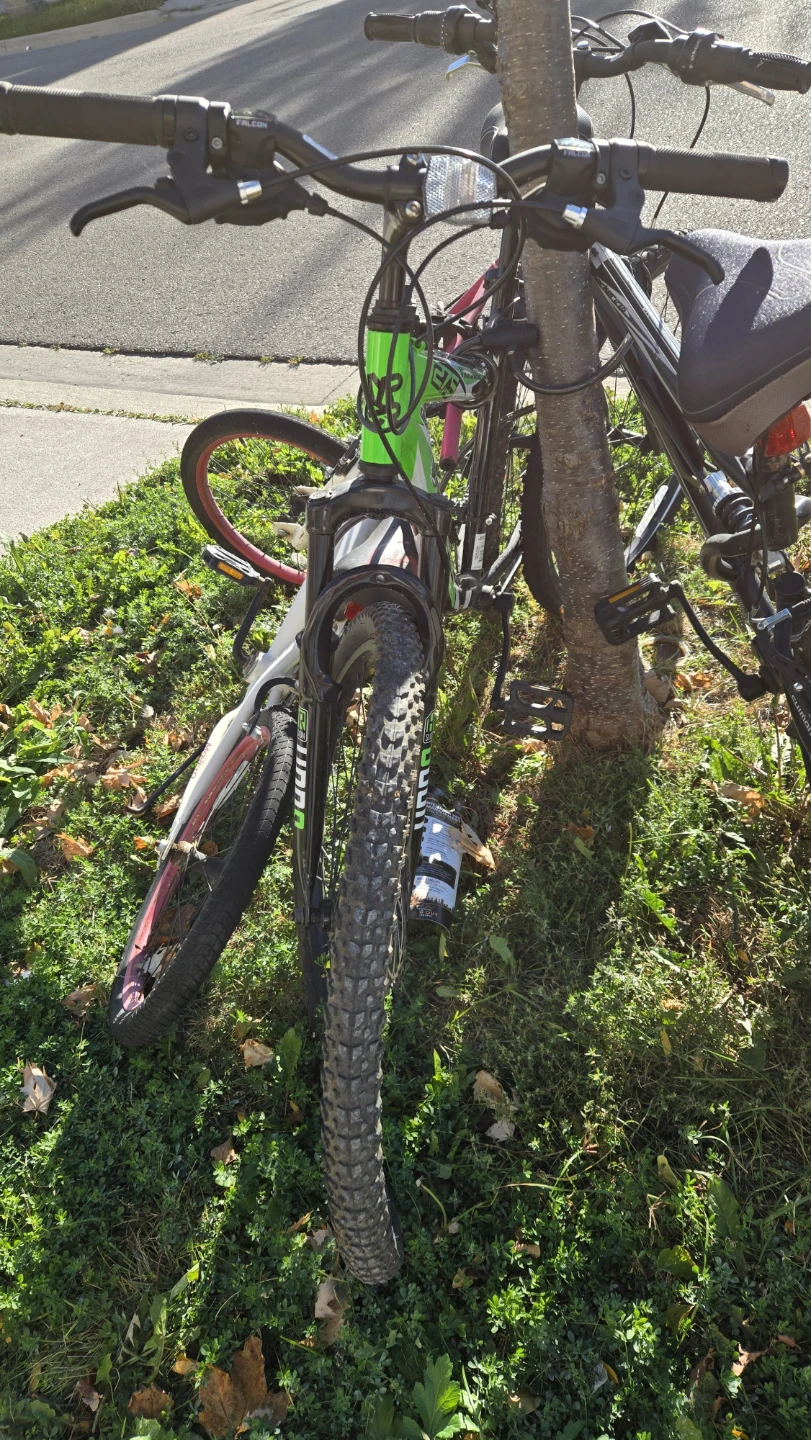 3 bycicles for sale - photo 5