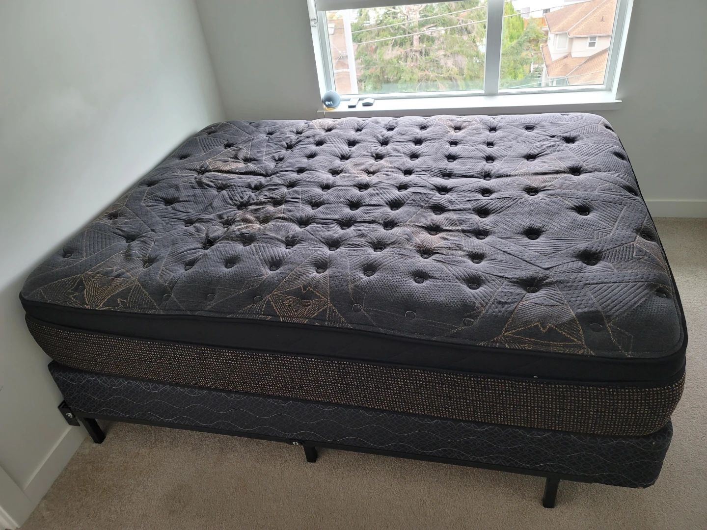 Sealy Queen Mattress