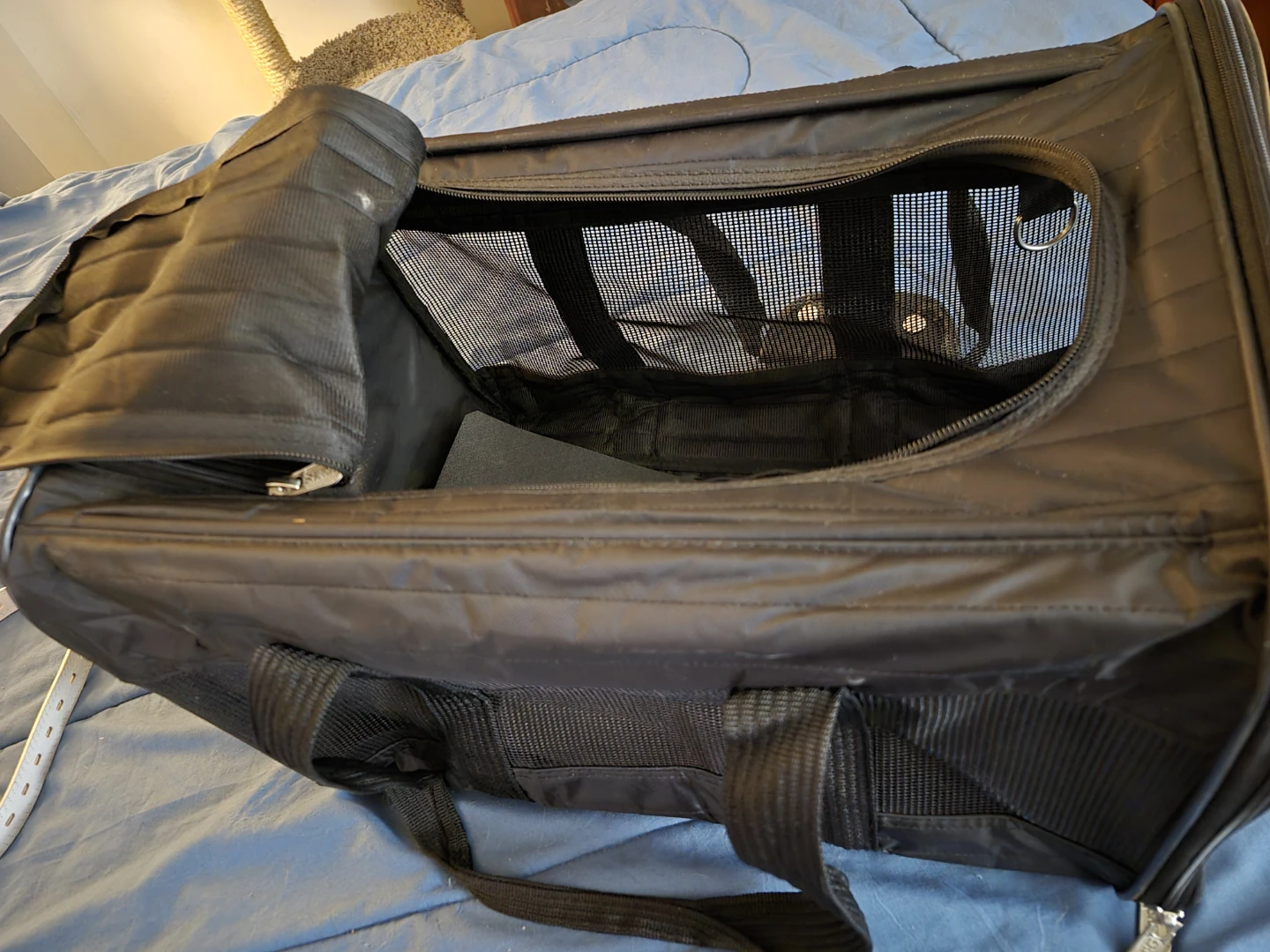 Sherpa Pet Carrier - photo 2