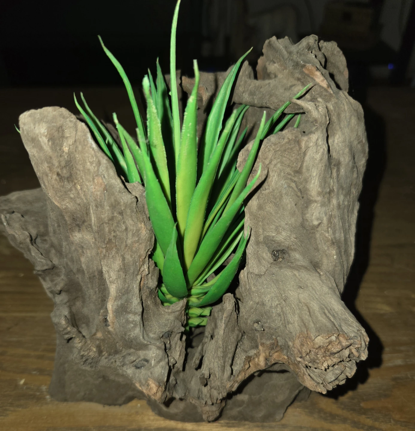 Driftwood Planter with Artificial Succulent - photo 4