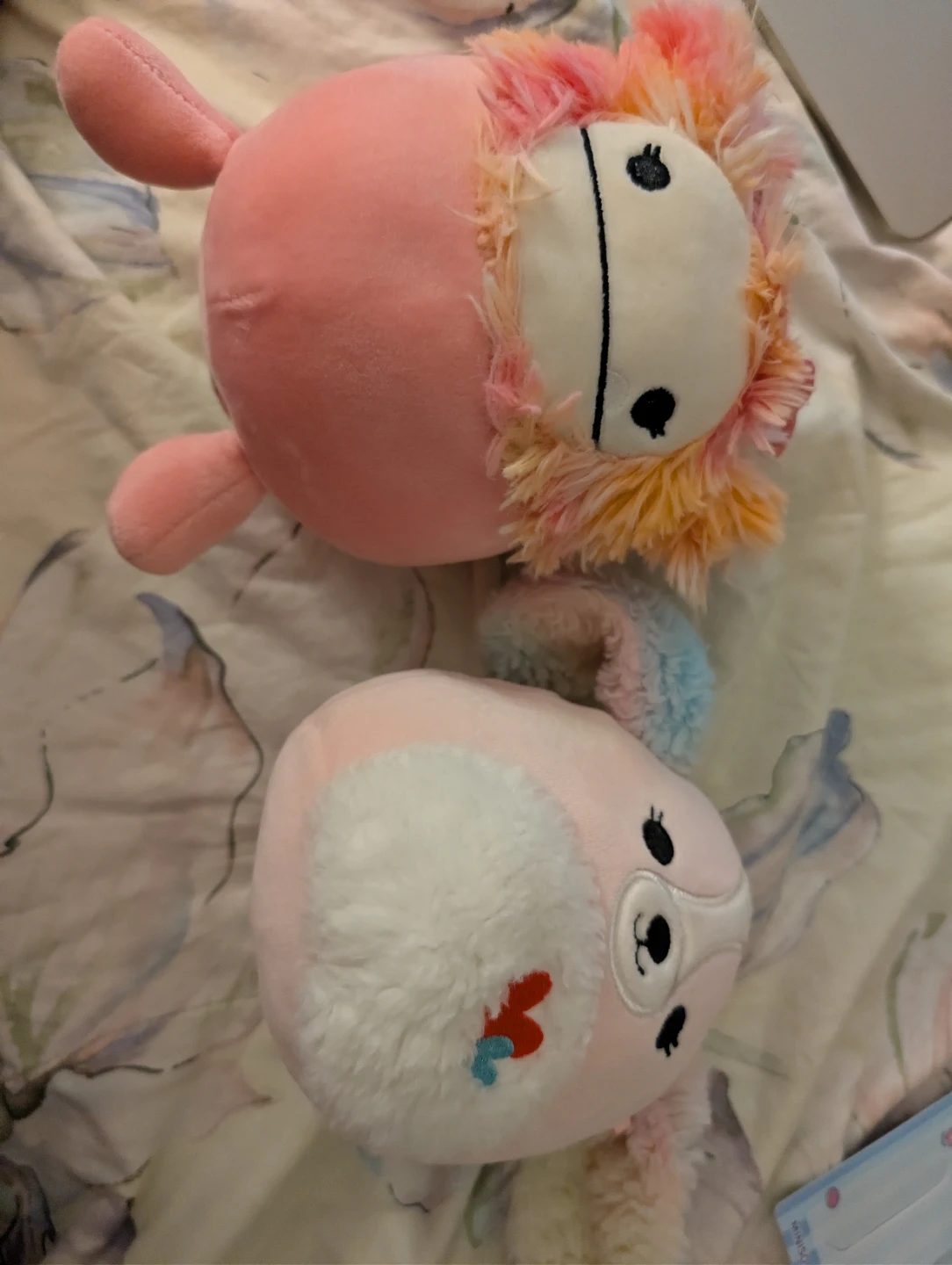 Valentine's Day Squishmallows (Caparinne and Beemie)